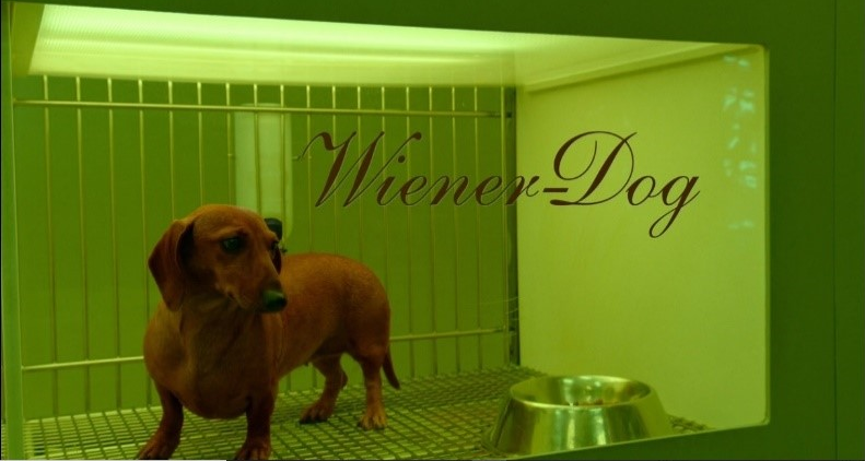 Movie still from Wiener Dog.