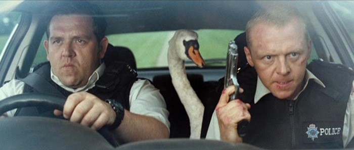 Swan in the police car