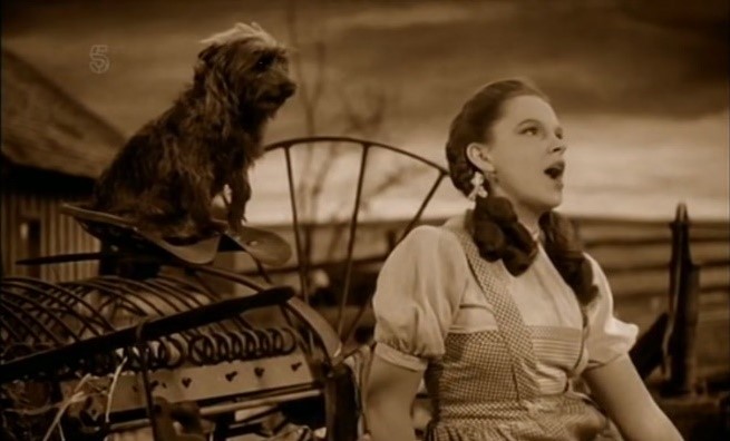 The Wizard of Oz, 1939 Film by Fleming & Vidor