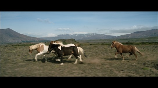 Movie still for Of Horses and Men.