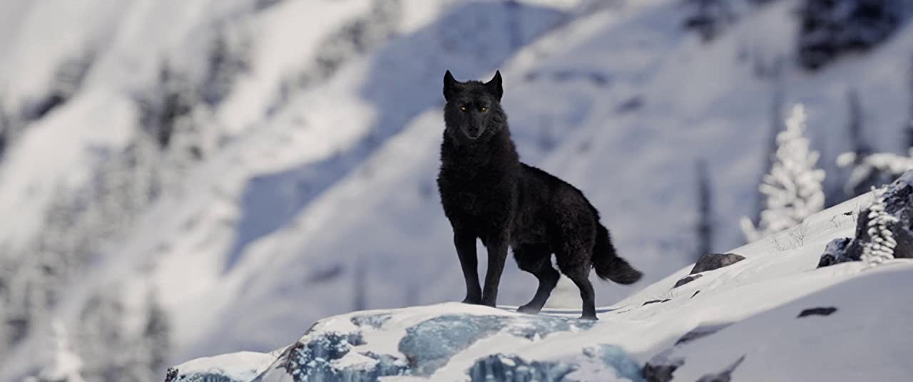 The Call Of The Wild. Dir. Chris Sanders. 20th Century Studios. 2020