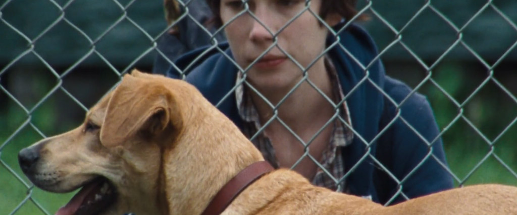 Wendy and Lucy, Dir. Kelly Reichardt, Oscilloscope Pictures (2008)